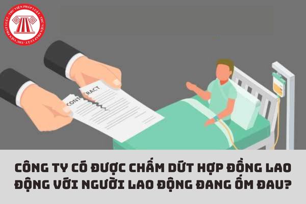 Công ty có được chấm dứt hợp đồng lao động với người lao động đang ốm đau?