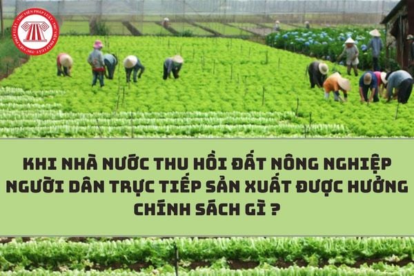 Mức hỗ trợ chuyển đổi nghề cho cá nhân khi Nhà nước thu hồi đất nông nghiệp? (Hình từ Internet)