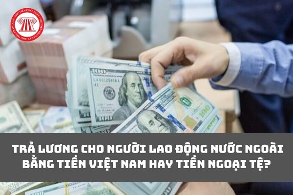 Công ty trả lương cho người lao động nước ngoài bằng tiền Việt Nam hay tiền ngoại tệ?
