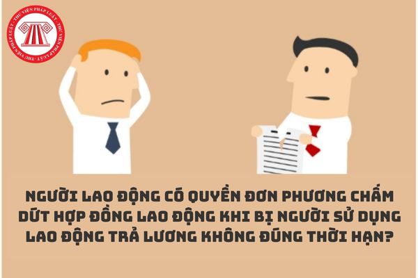 Người lao động có quyền đơn phương chấm dứt hợp đồng lao động khi bị người sử dụng lao động trả lương không đúng thời hạn?