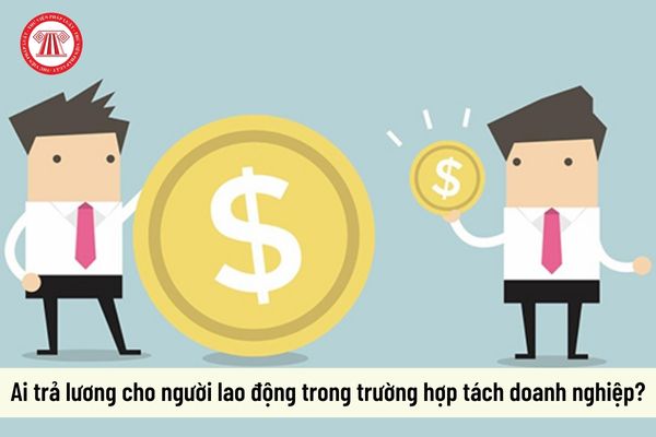 Ai trả lương cho người lao động trong trường hợp tách doanh nghiệp?