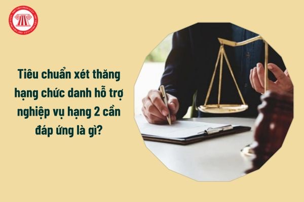 Từ 10/02/2025, tiêu chuẩn xét thăng hạng chức danh hỗ trợ nghiệp vụ hạng 2 cần đáp ứng là gì?