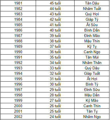 bang-nam-ca-nhan-2025-4.png