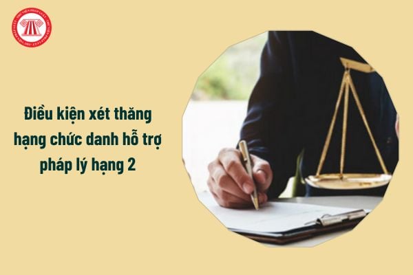 Điều kiện xét thăng hạng chức danh hỗ trợ pháp lý hạng 2 từ 10/02/2025?