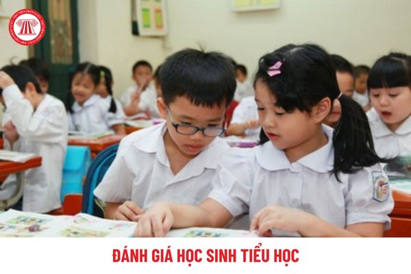 Thông tư 27 về đánh giá học sinh tiểu học