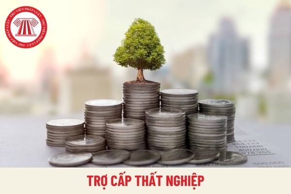 Hồ sơ đề nghị hưởng trợ cấp thất nghiệp 2024 đầy đủ, chi tiết?