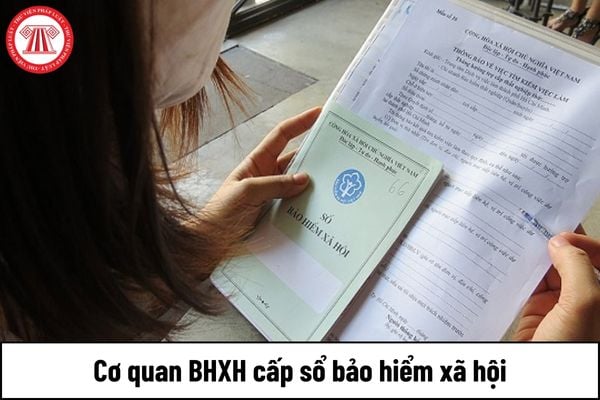 Cơ quan BHXH cấp sổ bảo hiểm xã hội khi nào?