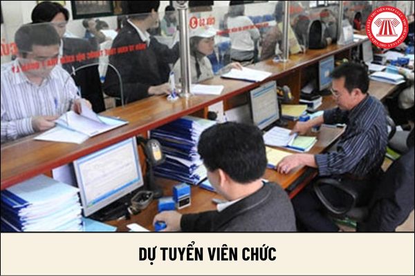 Trường hợp nào phải có sự đồng ý của người đại diện theo pháp luật mới được đăng ký dự tuyển viên chức?