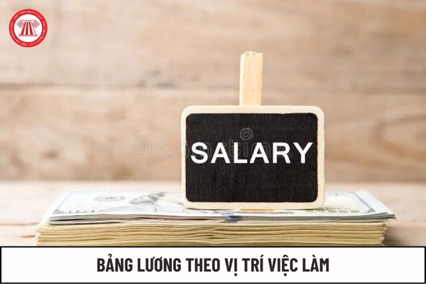 Đã có bảng lương theo vị trí việc làm chưa?