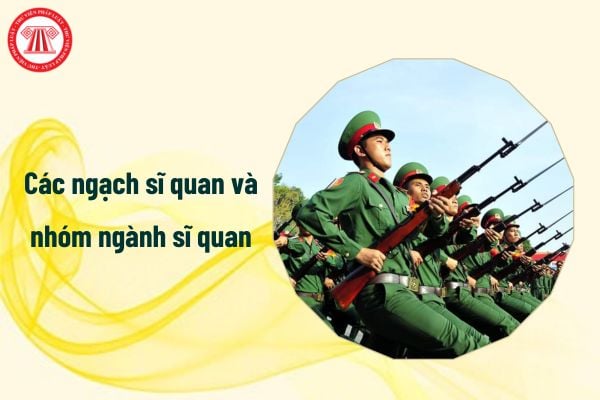 Các ngạch sĩ quan và nhóm ngành sĩ quan mới nhất hiện nay?