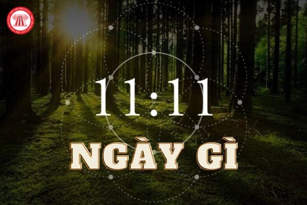 Ngày 11 11 là ngày gì