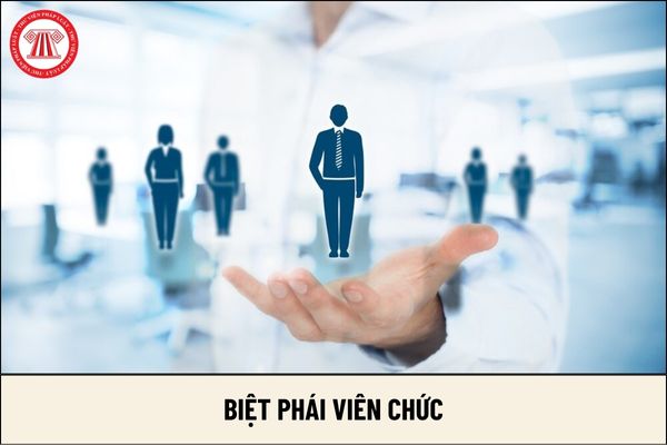 Viên chức được cử biệt phái đến miền núi có được hưởng thêm chính sách hỗ trợ ngoài lương không?