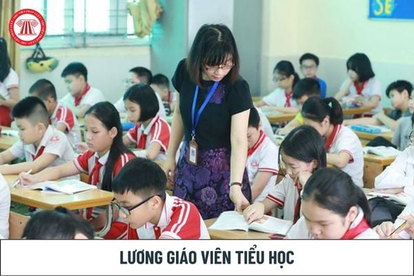 Lương giáo viên: Tính lương giáo viên tiểu học theo hệ số lương thấp nhất, cao nhất bao nhiêu?