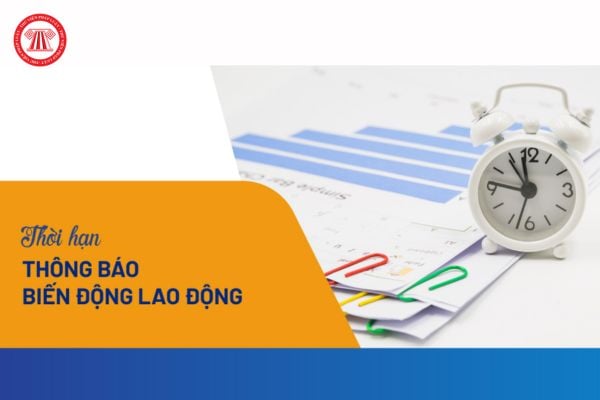 Hạn nộp thông báo tình hình biến động lao động cuối năm 2024 là khi nào?