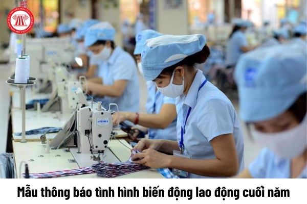 Mẫu thông báo tình hình biến động lao động cuối năm 2024 là mẫu nào?