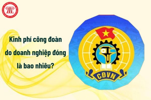 Kinh phí công đoàn từ 1/7/2025 do doanh nghiệp đóng là bao nhiêu?