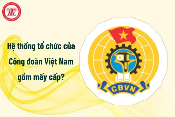 Từ 1/7/2025 hệ thống tổ chức của Công đoàn Việt Nam gồm mấy cấp?