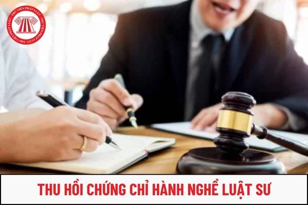 Những trường hợp nào sẽ thực hiện thu hồi chứng chỉ hành nghề luật sư?