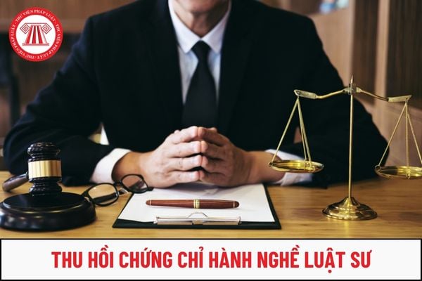 Có phải tất cả trường hợp bị thu hồi chứng chỉ hành nghề luật sư đều được cấp lại hay không?