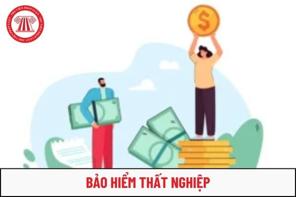 NSDLĐ phải tham gia bảo hiểm thất nghiệp cho NLĐ trong thời hạn bao lâu kể từ ngày ký hợp đồng lao động?