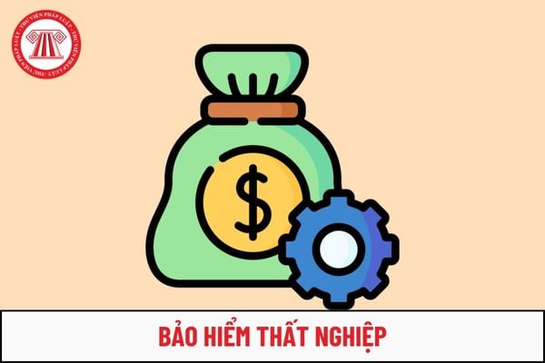 Trường hợp nào người lao động không phải tham gia bảo hiểm thất nghiệp?