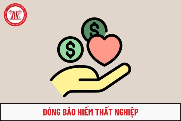 Người lao động được xác định là đang đóng bảo hiểm thất nghiệp khi thuộc trường hợp nào?