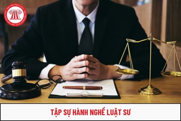 Những đối tượng nào được được giảm một nửa thời gian tập sự hành nghề luật sư?