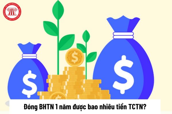 Đóng bảo hiểm thất nghiệp 1 năm được bao nhiêu tiền trợ cấp thất nghiệp?