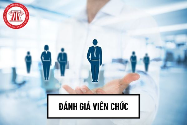 Người đứng đầu cơ quan thực hiện đánh giá viên chức vào những trường hợp nào?