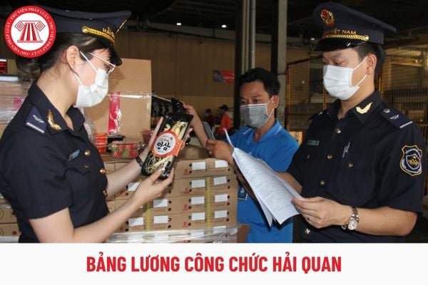 Bảng lương mới của công chức hải quan từ 1/7/2024 được cập nhật chi tiết như thế nào?