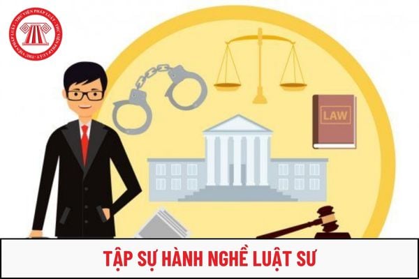 Đăng ký tập sự hành nghề luật sư bắt buộc phải có Bằng cử nhân luật trở lên đúng không?