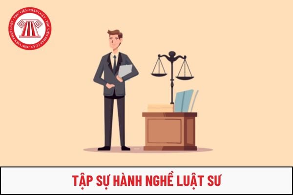 Luật sư không được hướng dẫn tập sự hành nghề luật sư khi thuộc trường hợp nào?