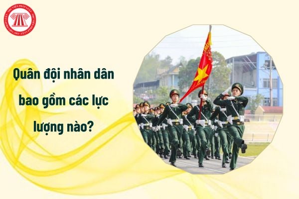 Quân đội nhân dân bao gồm các lực lượng nào? Sĩ quan quân đội có mức lương bao nhiêu?