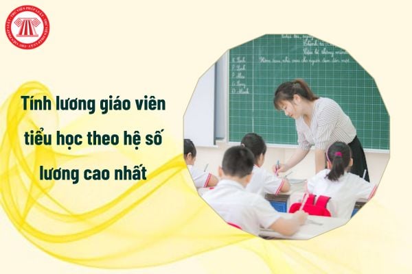 Tính lương giáo viên tiểu học theo hệ số lương cao nhất thế nào?