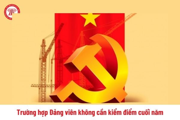 Tổng hợp các trường hợp Đảng viên không cần kiểm điểm cuối năm 2024 dành cho cán bộ công chức?