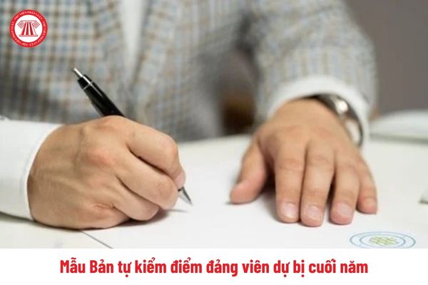 Mẫu Bản kiểm điểm đảng viên dự bị cuối năm 2024 dành cho CBCCVC? 