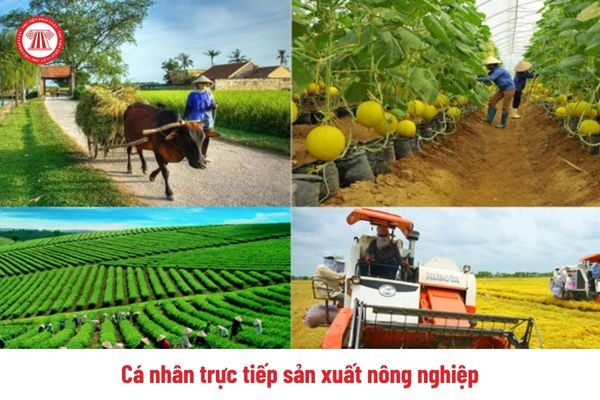 Nghị định 102 năm 2024