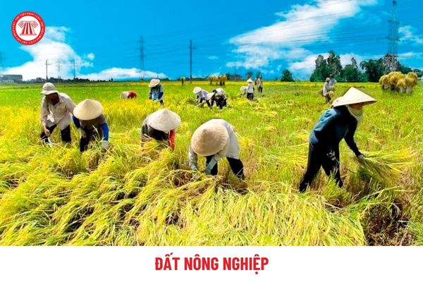 Các loại đất nông nghiệp mới nhất? Nhà nước có hỗ trợ NLĐ bị thu hồi đất nông nghiệp đi làm việc nước ngoài không?