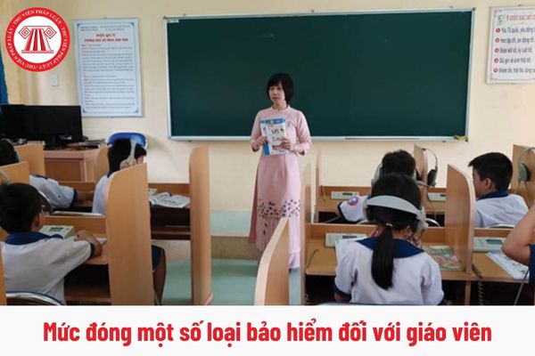 Mức đóng một số loại bảo hiểm mới nhất của giáo viên công lập là bao nhiêu?