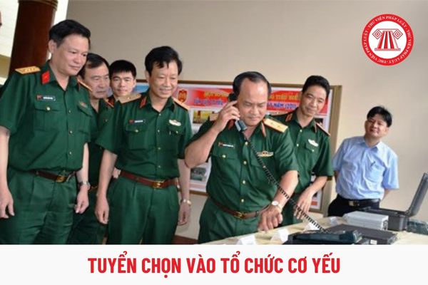 Người chỉ có một quốc tịch Việt Nam mới được tuyển chọn vào tổ chức cơ yếu đúng không?