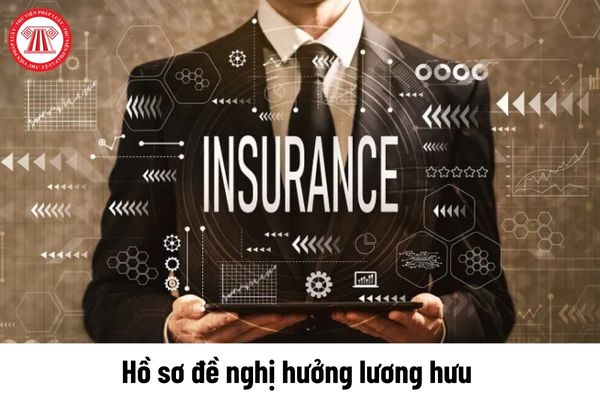 Hồ sơ đề nghị hưởng lương hưu cho người bị suy giảm khả năng lao động gồm những giấy tờ gì?