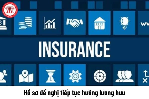 Hồ sơ đề nghị tiếp tục hưởng lương hưu đối với người xuất cảnh trái phép trở về gồm những gì?