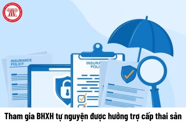 Tham gia BHXH tự nguyện được hưởng trợ cấp thai sản thì cần xác nhận của Ủy ban nhân dân xã trong trường hợp nào?