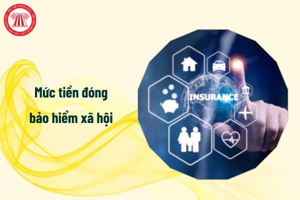 Mức tiền đóng bảo hiểm xã hội 2024