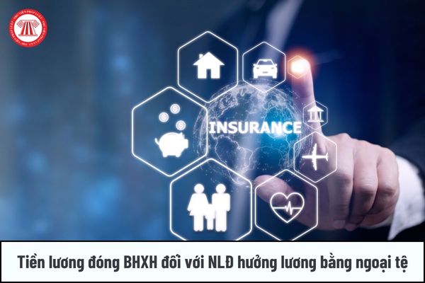 Hướng dẫn xác định tiền lương đóng bảo hiểm xã hội đối với NLĐ hưởng lương bằng ngoại tệ cụ thể thế nào?