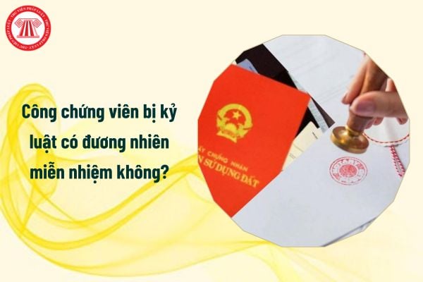 Công chứng viên bị kỷ luật có đương nhiên miễn nhiệm không?