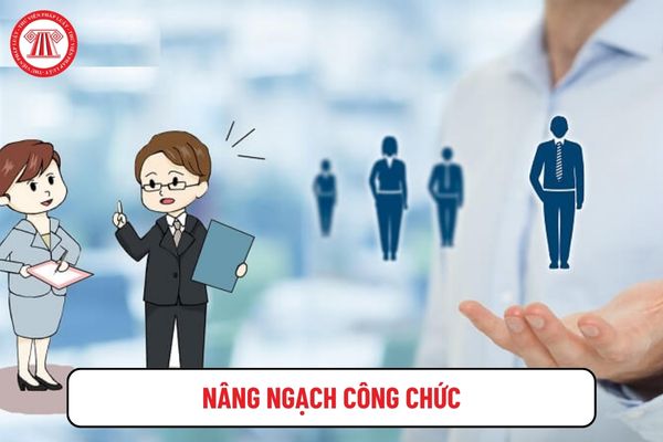 Phải đúng bao nhiêu câu môn tin học mới trúng tuyển kỳ thi nâng ngạch công chức?