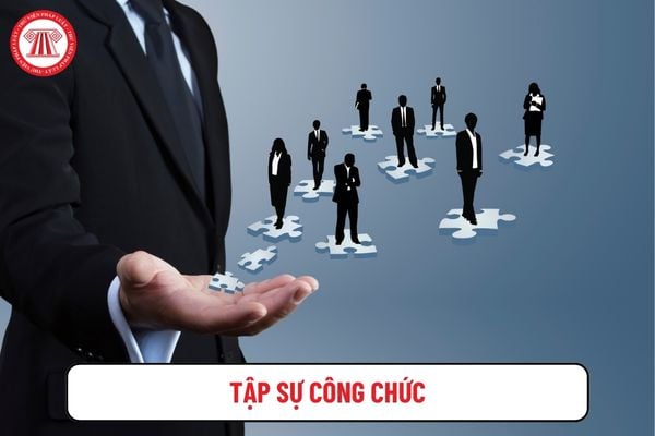 Người tập sự công chức có trình độ thạc sĩ, tiến sĩ được hưởng lương như thế nào trong thời gian tập sự?