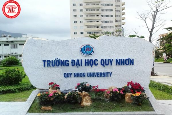 Đã có điểm chuẩn Đại học Quy Nhơn năm 2024?