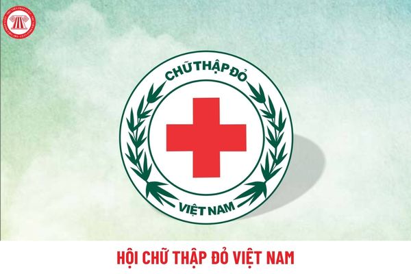 Ngày 23 tháng 11 là ngày gì ở Việt Nam? Tổ chức Hội Chữ thập đỏ Việt Nam gồm những thành phần nào?